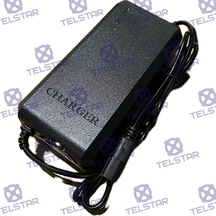 Зарядно 48V 10Ah за гелови батерии с кръгла букса - 1251 | TelStar Зарядно 48V 10Ah за гелови батерии с кръгла букса - 1251